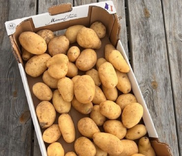Les pommes de terre millésime 2023 sont disponibles !